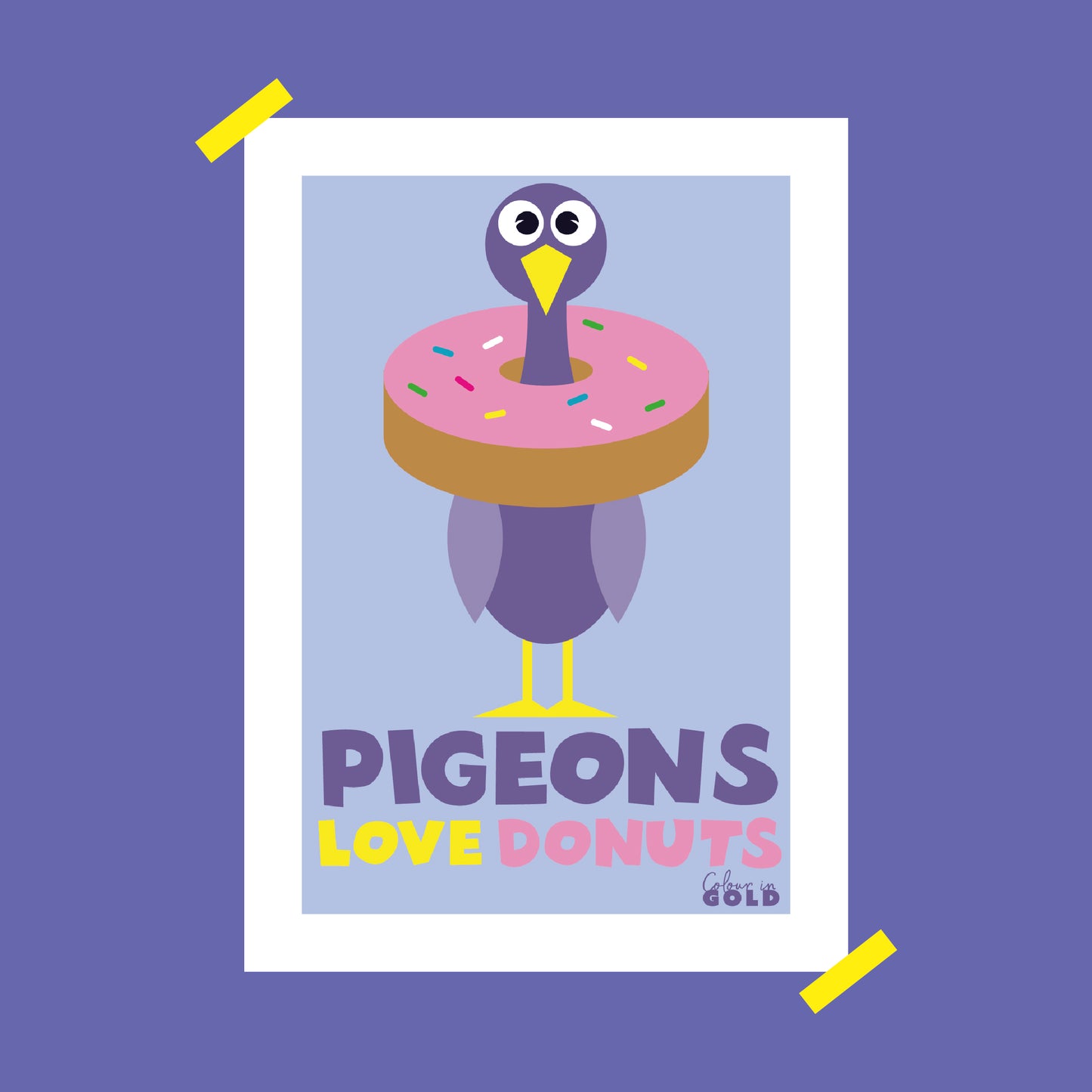 DONUT PIGEON