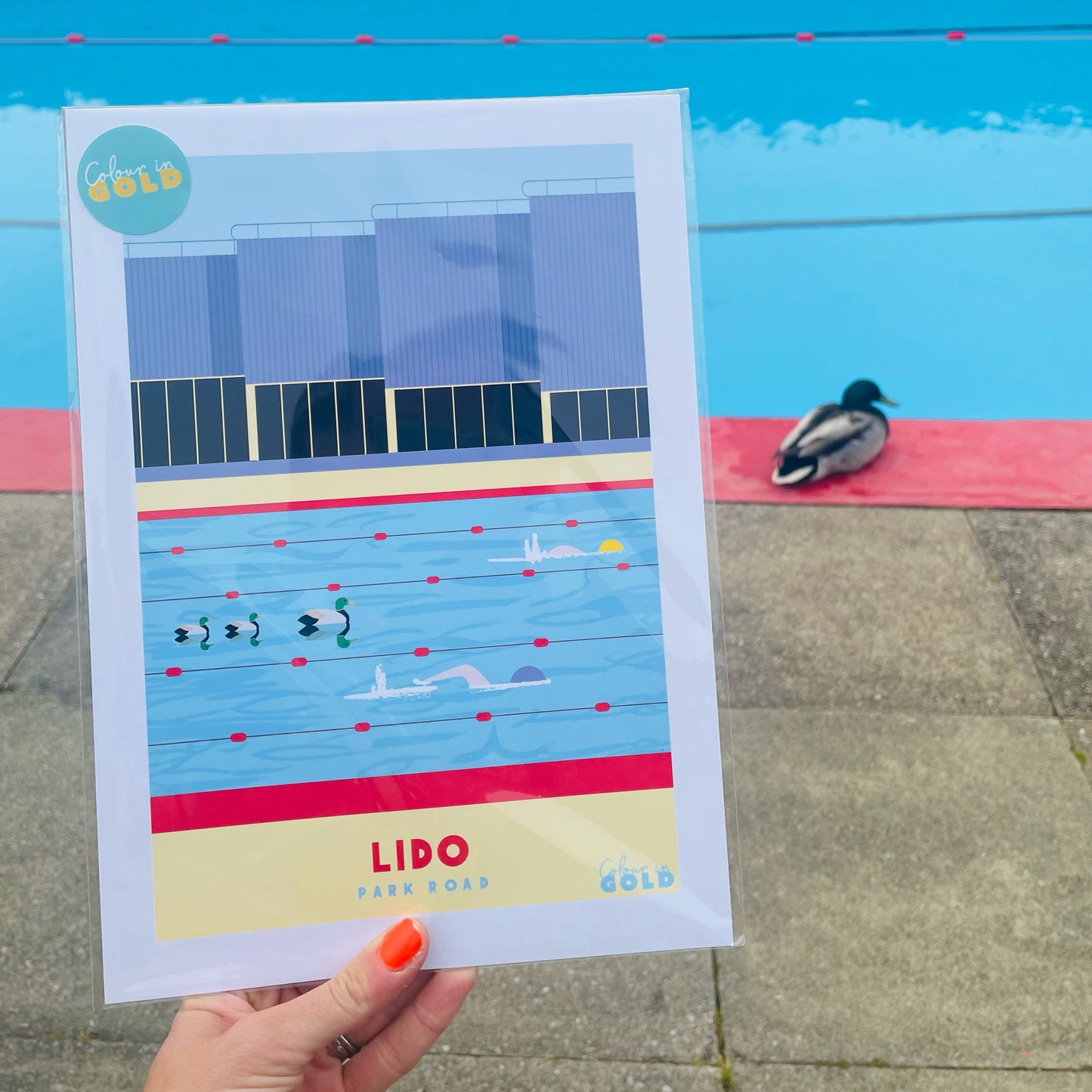 PARK ROAD LIDO