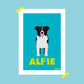 BORDER COLLIE PORTRAIT
