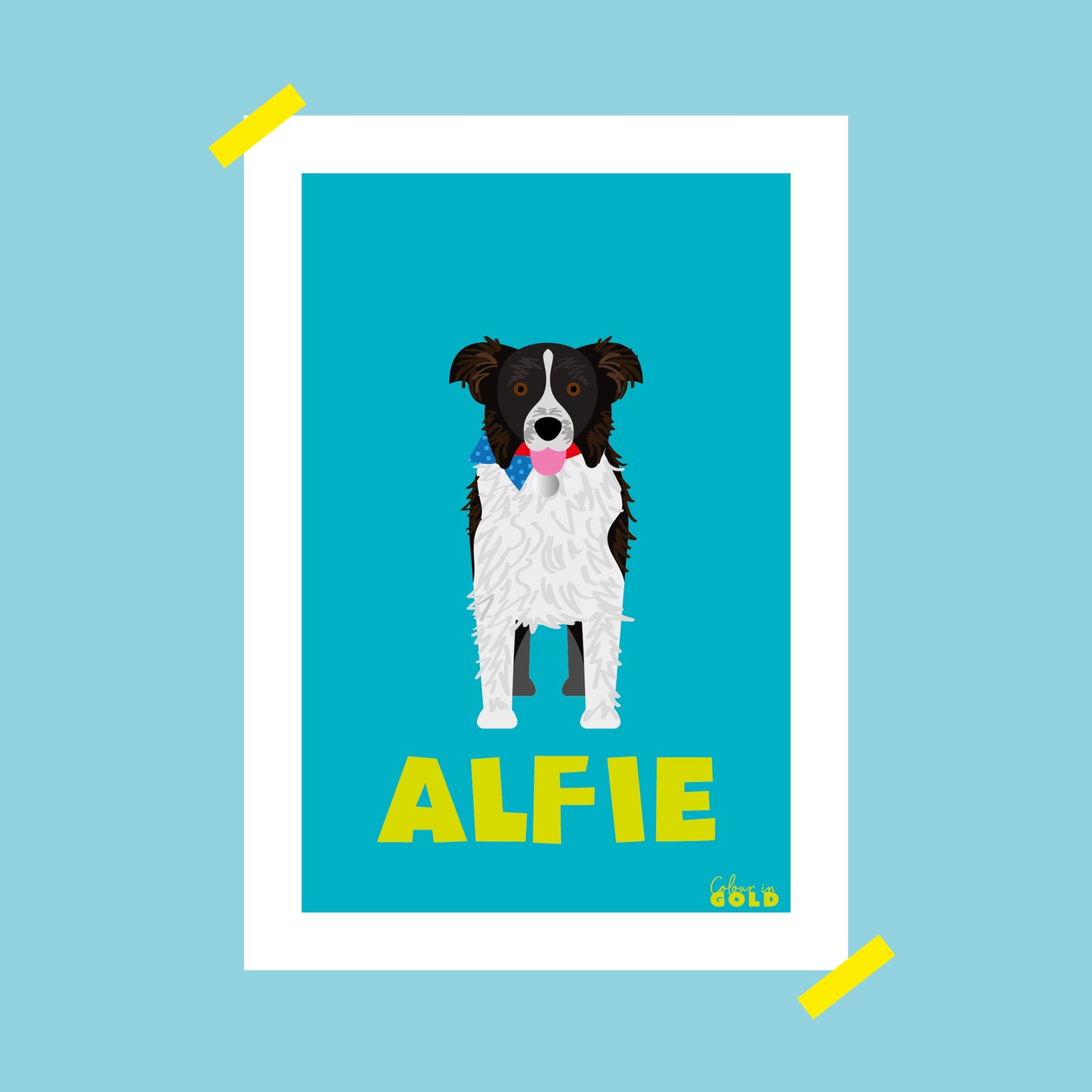 BORDER COLLIE PORTRAIT