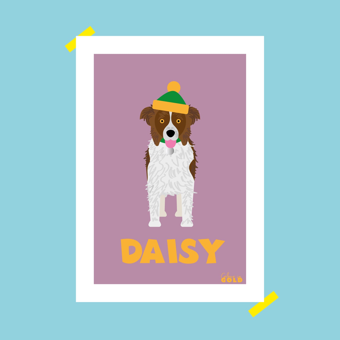 BORDER COLLIE PORTRAIT