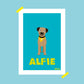 BORDER TERRIER PORTRAIT