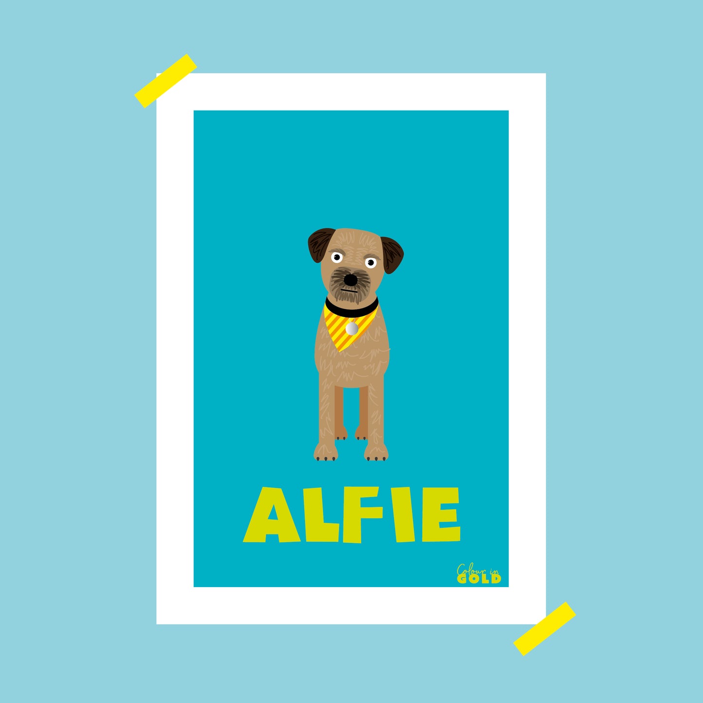 BORDER TERRIER PORTRAIT