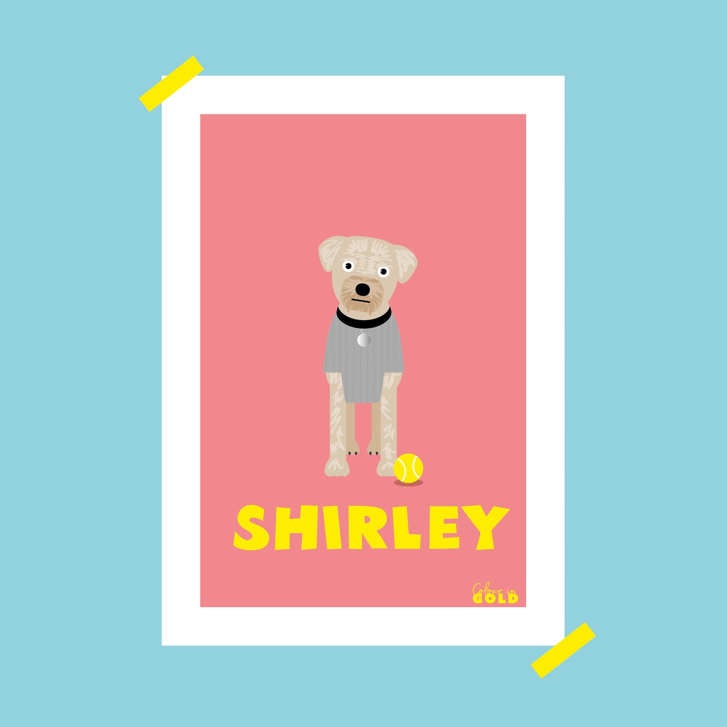 BORDER TERRIER PORTRAIT