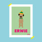 BORDER TERRIER PORTRAIT