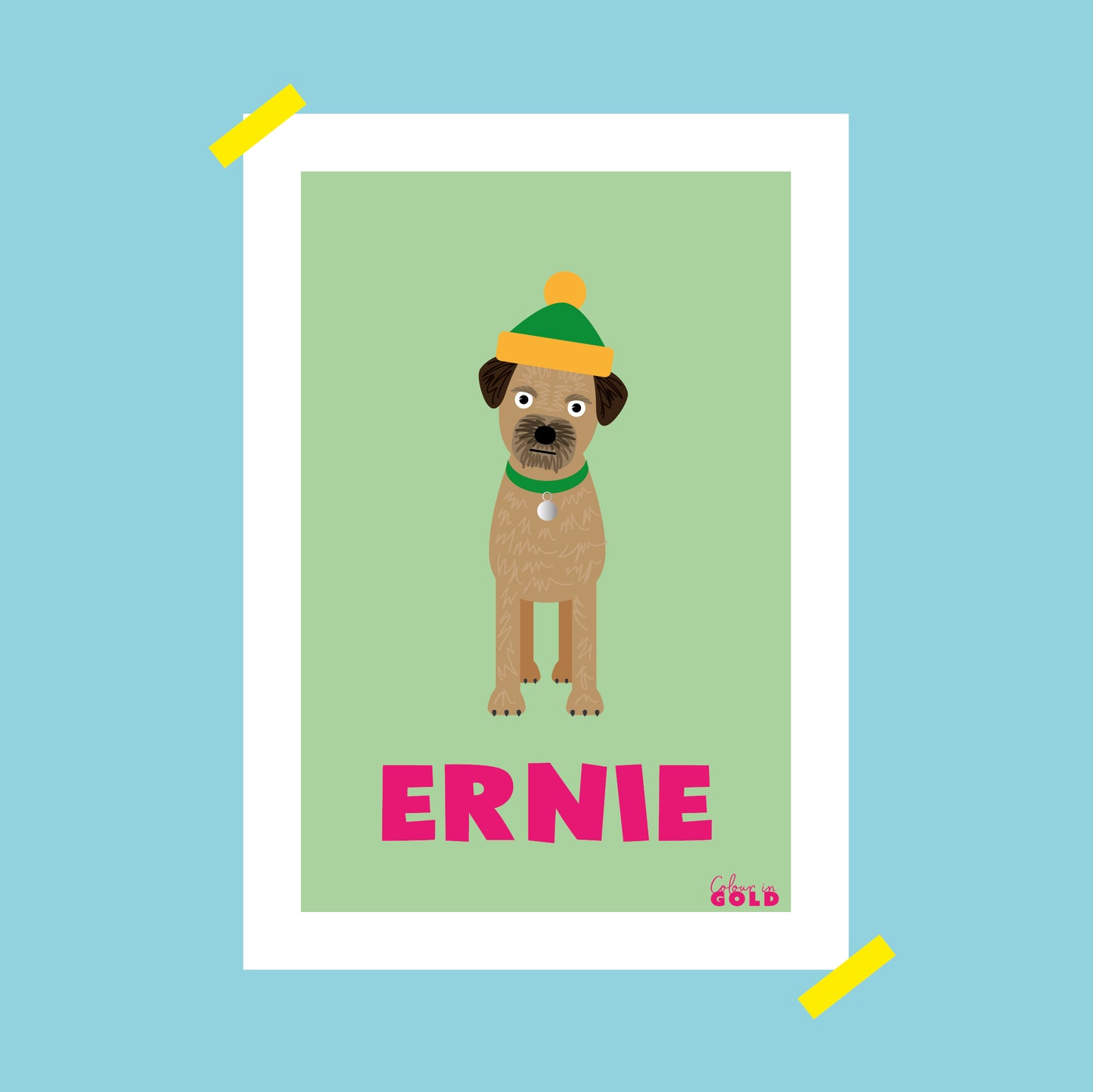 BORDER TERRIER PORTRAIT