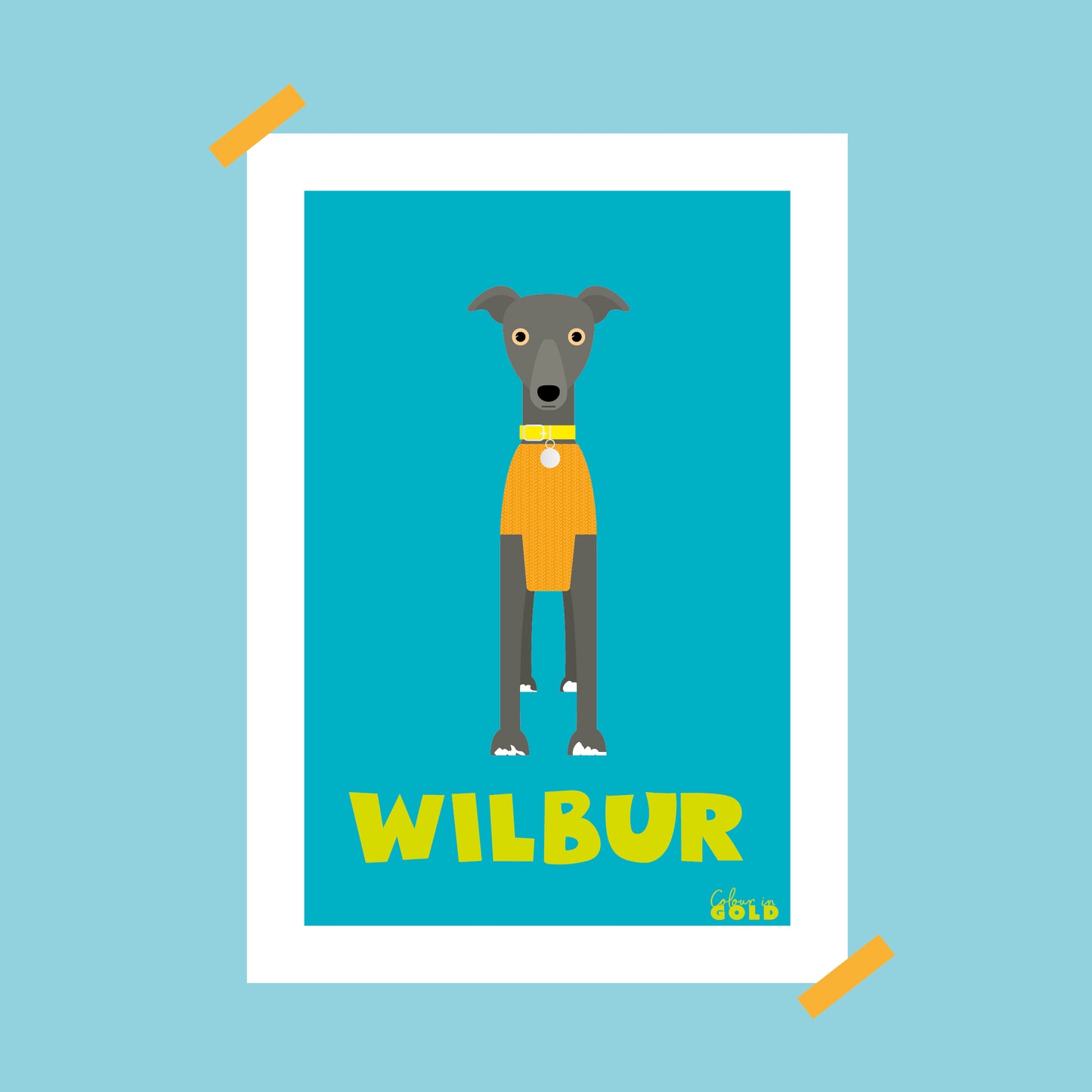 WHIPPET PORTRAIT