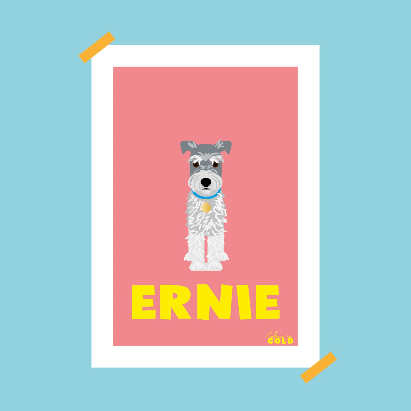 SCHNAUZER PORTRAIT